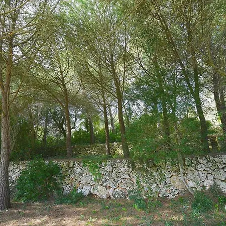 Il Trullo Di Pasquale * Ceglie Messapica